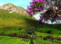 Esse destino no interior da Bahia surpreende viajantes com montanhas, rios cristalinos e histórias guardadas em vilas coloniais