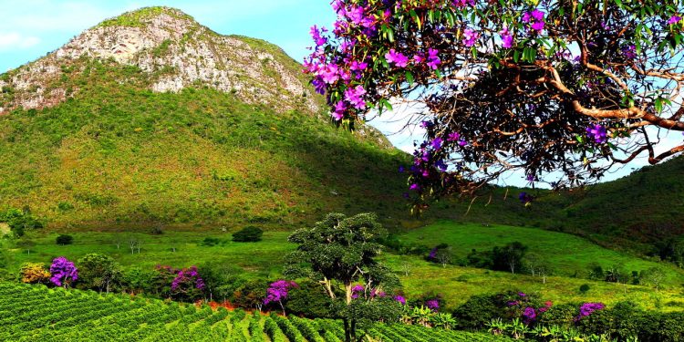 Esse destino no interior da Bahia surpreende viajantes com montanhas, rios cristalinos e histórias guardadas em vilas coloniais