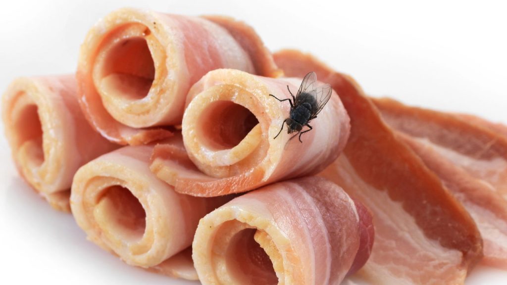 A forma mais barata, gastando menos de R$ 20 para afastar moscas e formigas sem veneno