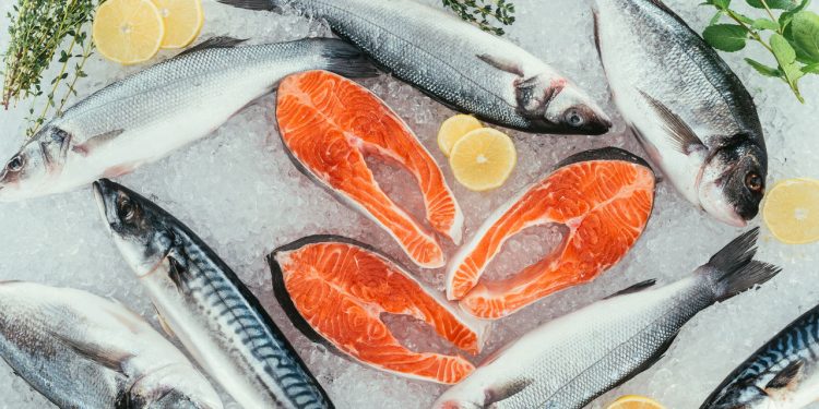 A melhor maneira de comprar peixes barato em 2025