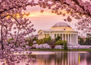 Nessa cidade americana você estuda onde presidentes tomam café e o mundo inteiro presta atenção