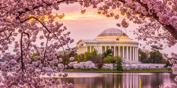 Nessa cidade americana você estuda onde presidentes tomam café e o mundo inteiro presta atenção