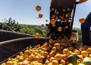 Imagem: Dado Galdieri/Bloomberg