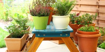 Como fazer uma mini horta de ervas em casa com R$ 30!