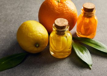 Economize R$ 50 todo mês fazendo seu próprio repelente