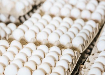 O segredo para gastar menos comprando ovos