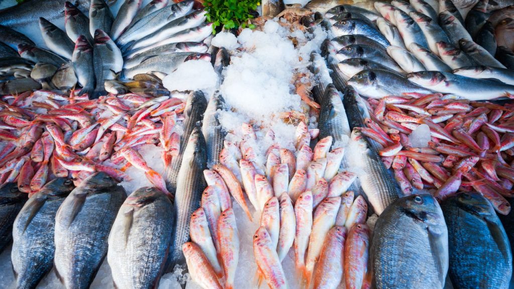 A melhor maneira de comprar peixes barato em 2025