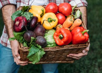 Frutas e verduras da estação são a escolha mais saudável e econômica