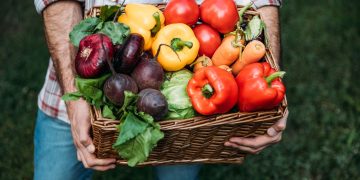 Frutas e verduras da estação são a escolha mais saudável e econômica