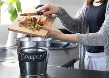 Como fazer compostagem caseira com até R$ 25 e reduzir o lixo doméstico
