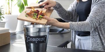 Como fazer compostagem caseira com até R$ 25 e reduzir o lixo doméstico