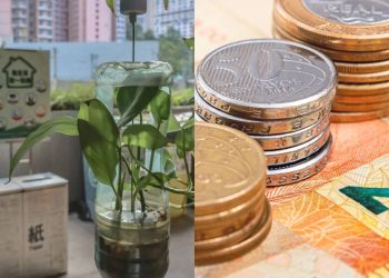 Horta caseira com garrafa PET reduz o gasto mensal com a feira