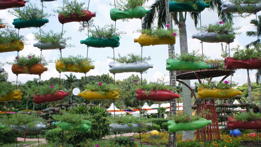 Truque simples pode fazer você economizar R$ 47 e garantir temperos e hortaliças frescas durante todo o mês de forma prática e sustentável