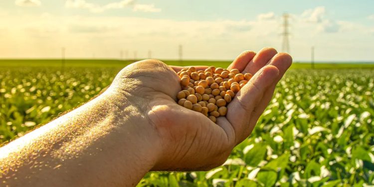 Imagem: Reprodução Investalk