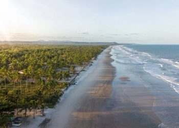 Amantes do chocolate descobrem a cidade das fazendas de cacau e muita história no sul da Bahia