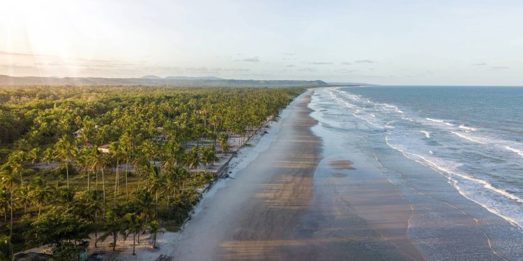 Amantes do chocolate descobrem a cidade das fazendas de cacau e muita história no sul da Bahia