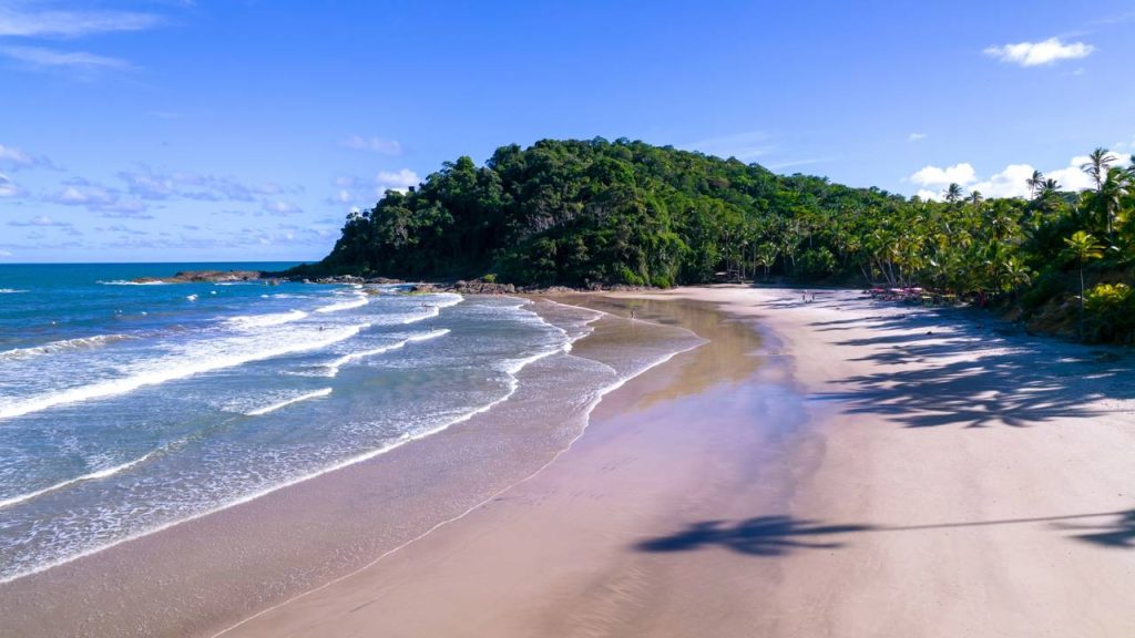 Turistas comemoram o destino que une praias paradisíacas com a energia contagiante da Bahia