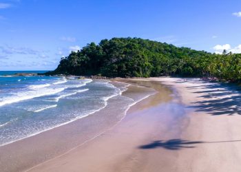 Turistas comemoram o destino que une praias paradisíacas com a energia contagiante da Bahia