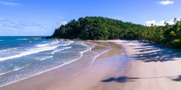Turistas comemoram o destino que une praias paradisíacas com a energia contagiante da Bahia