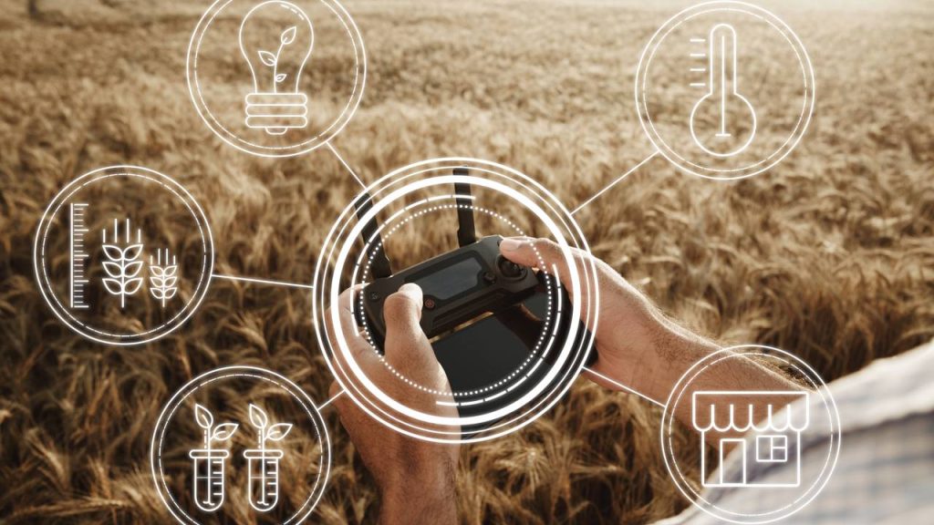 Tecnologia de ponta cria as carreiras mais promissoras do futuro sustentável