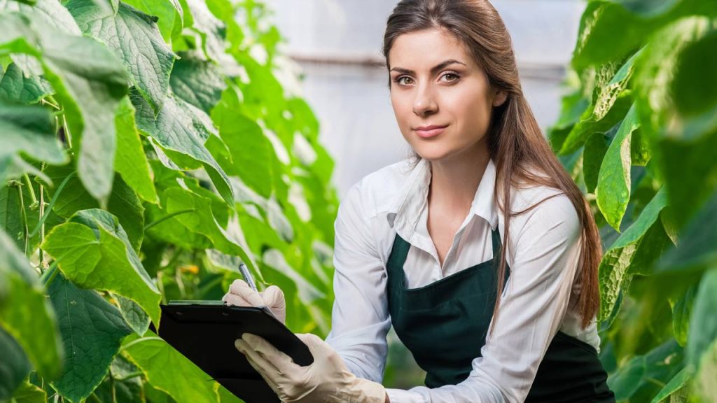 Profissões verdes que pagam salários altos impulsionam a nova economia sustentável