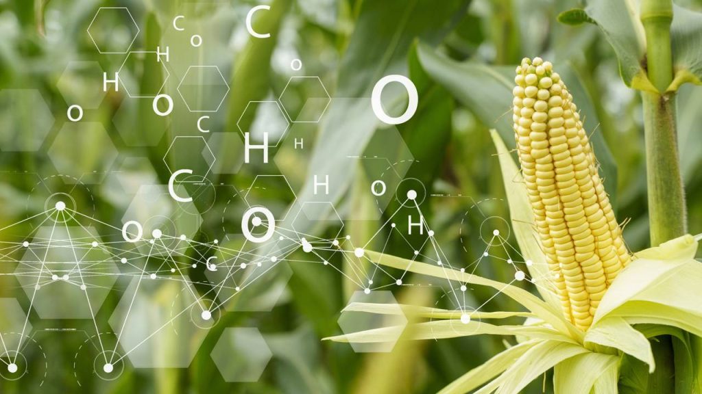 O interior brasileiro está mudando e quem percebeu essa virada já colhe os melhores salários