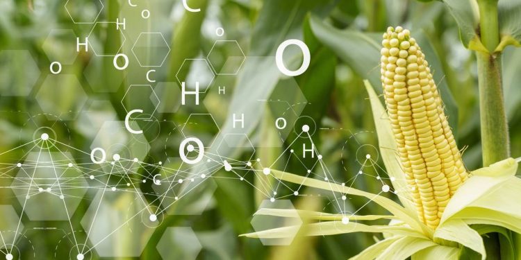 O interior brasileiro está mudando e quem percebeu essa virada já colhe os melhores salários