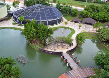 A cidade amazônica que mistura fé, sabores e natureza vai te surpreender