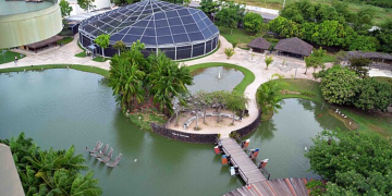 A cidade amazônica que mistura fé, sabores e natureza vai te surpreender