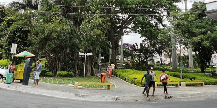 A cidade do sertão que virou refúgio para quem ama clima gelado