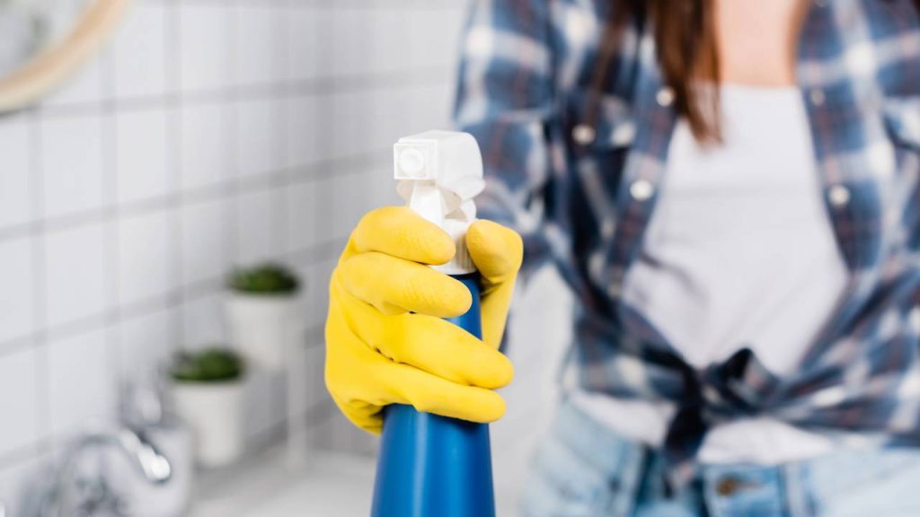 Produtos de limpeza de até R$ 10 que duram muito e deixam sua casa impecável