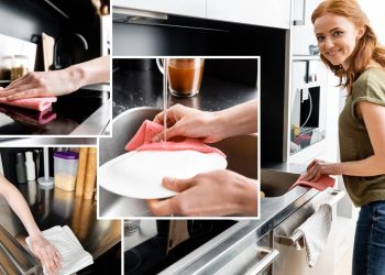 Veja o ingrediente secreto que deixa o seu forno brilhando sem gastar nada