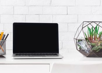 Decore seu escritório com um mini jardim fácil e baratinho