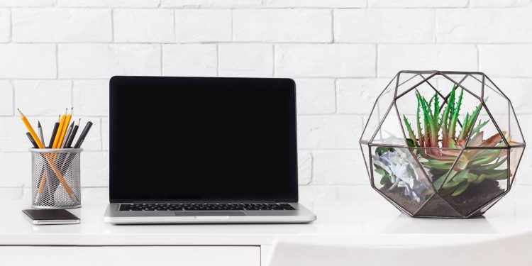 Decore seu escritório com um mini jardim fácil e baratinho