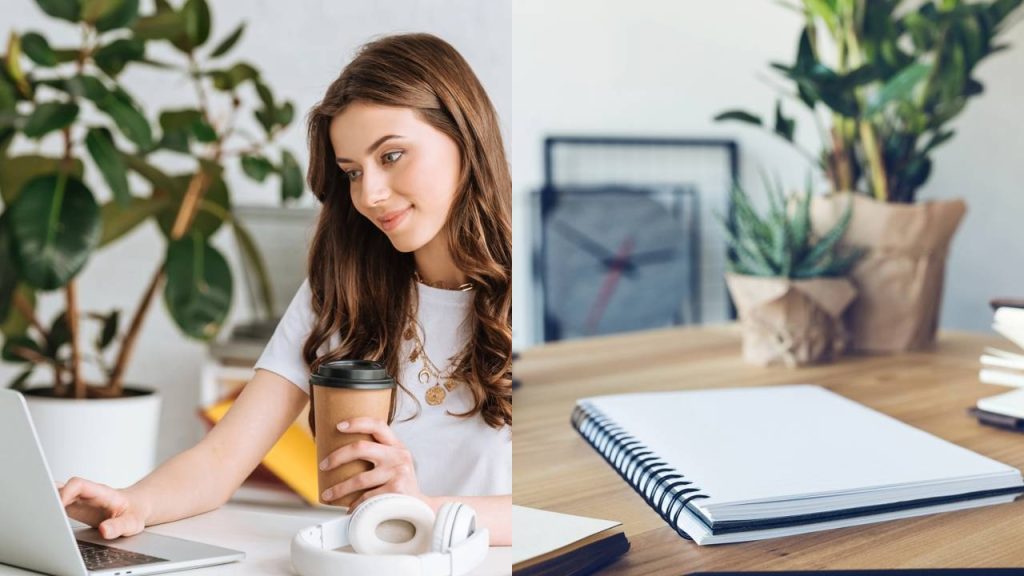 O trabalho mais cobiçado do momento une conforto liberdade e bons salários