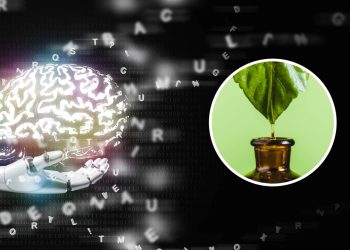 Receita de gênio com alecrim turbina a memória por menos de R$ 60