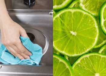 Truque caseiro limão e sal eliminam manchas e mau cheiro do inox da sua casa