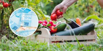 Aprenda a plantar em vaso e gaste R$ 0 na compra de alimentos