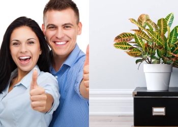 Crie organizadores e decore a casa com reciclagem e zero custo