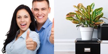 Crie organizadores e decore a casa com reciclagem e zero custo