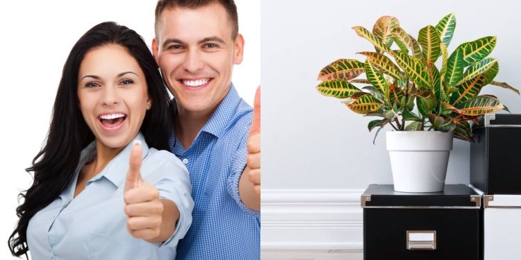 Crie organizadores e decore a casa com reciclagem e zero custo