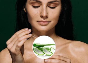 Babosa é o segredo natural para hidratar pele e cabelos com economia e leveza