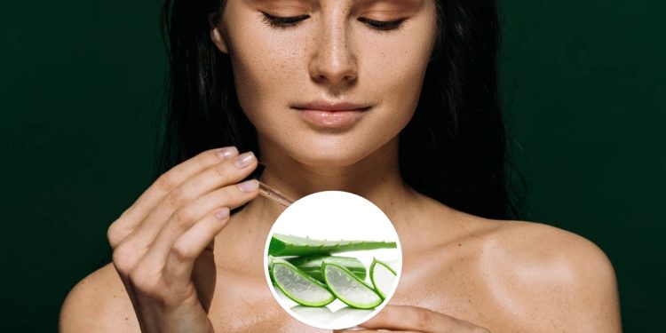 Babosa é o segredo natural para hidratar pele e cabelos com economia e leveza