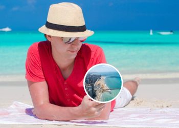 Turistas celebram a capital que tem as barracas de praia mais famosas e animadas de todo o Nordeste