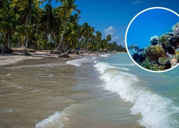 Essa joia de Alagoas tem o mar mais azul do país e conquista quem a visita.