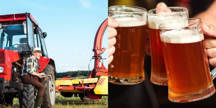 A cidade do chopp mais famoso do Brasil é também um gigante econômico