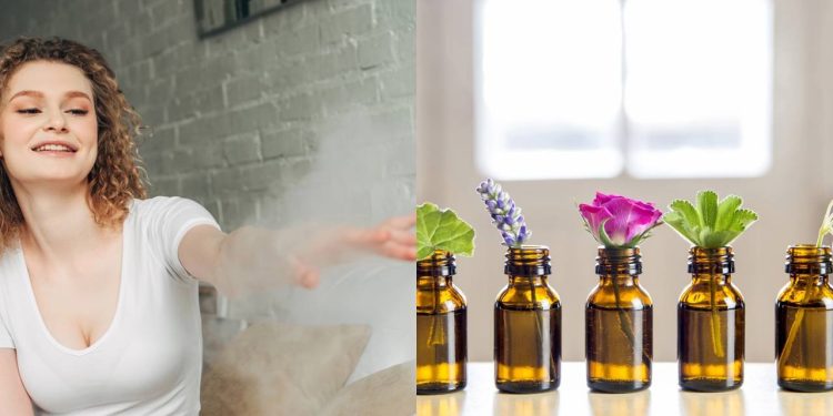 Morador aprende a terapia que garante o bem-estar da mente em casa