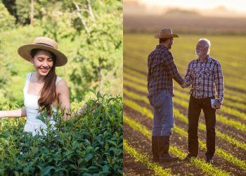 Empreendedores celebram a cidade que é a capital do agronegócio no oeste catarinense