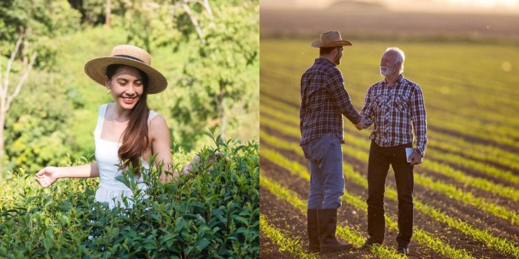 Empreendedores celebram a cidade que é a capital do agronegócio no oeste catarinense