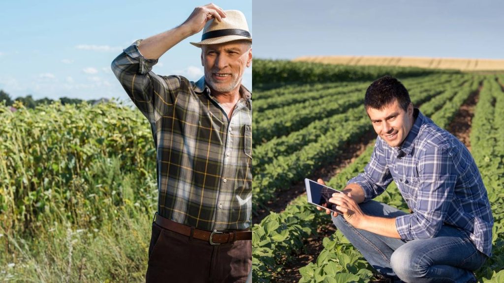 Empreendedores celebram a cidade que é a capital do agronegócio no oeste catarinense